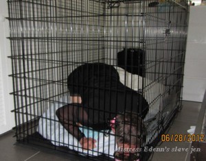 Slave training cage for my sissy slut